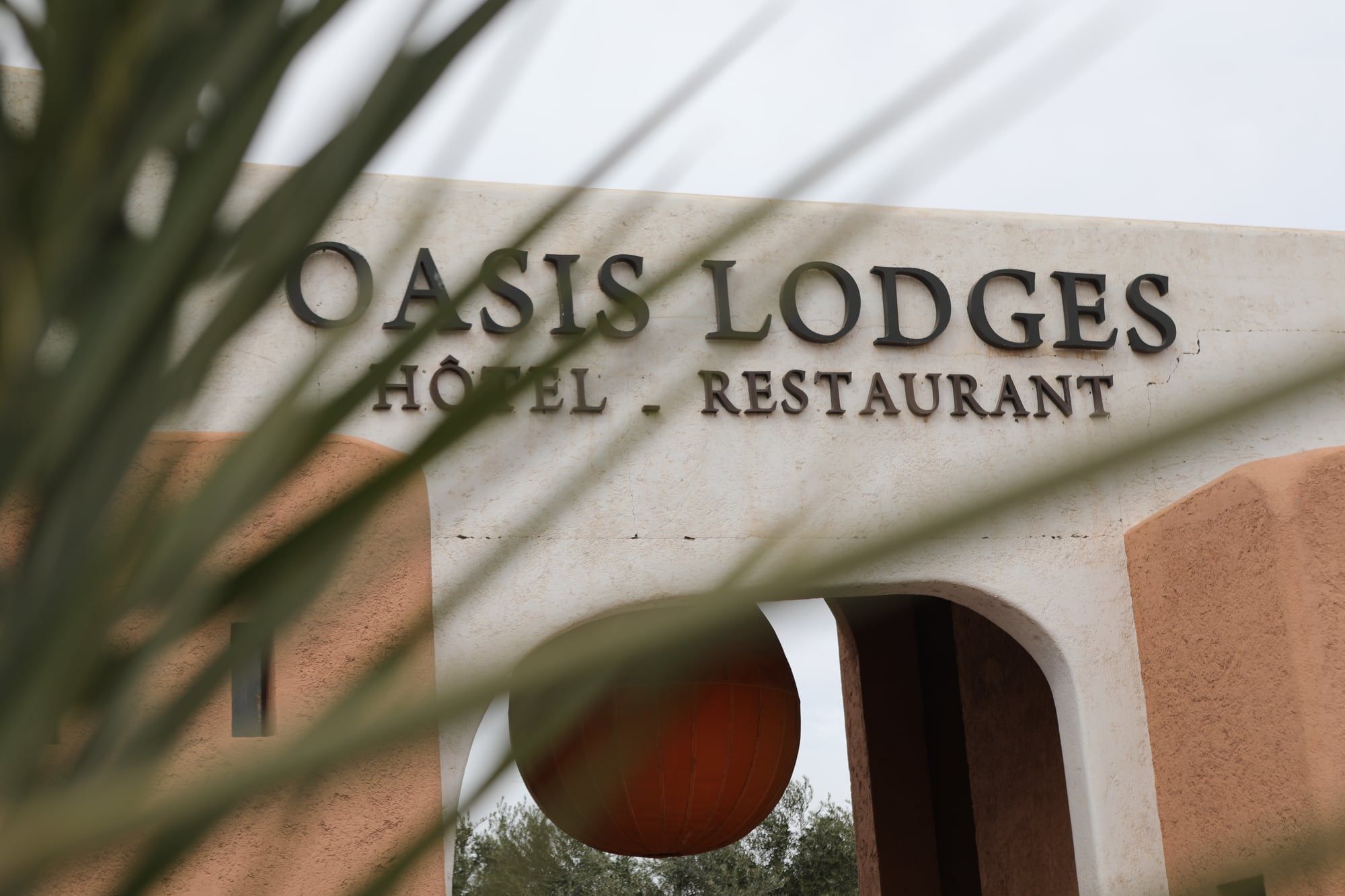 Oasis Lodges hotel and restaurant sign framed by palm leaves in Marrakech