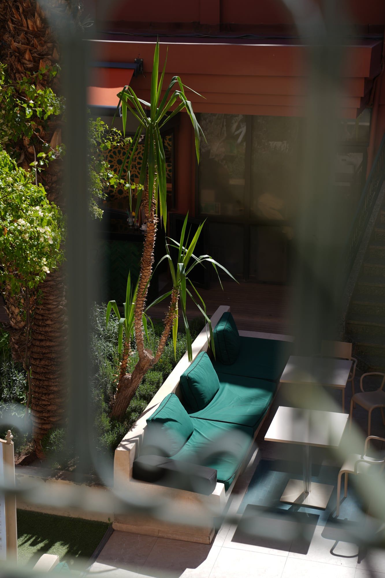 Riad terrace lounge glimpsed through lush plants